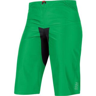 Gore Bike Wear Alp-X 3.0 Gore-Tex Active Shorts, fresh green - Radhose