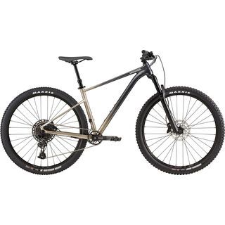 Cannondale Trail SE 1 meteor gray 2021