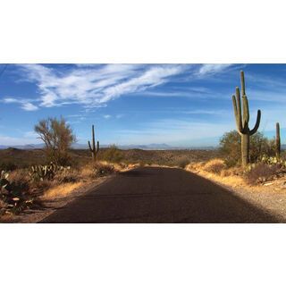 Tacx Real Life Video - Arizona Cycletours (USA) Radtour - DVD