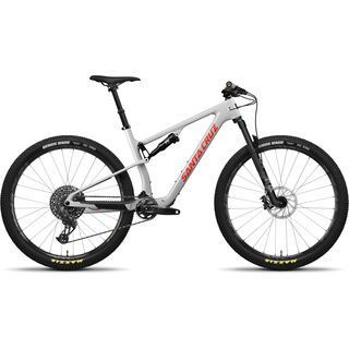 Santa Cruz Blur C / GX AXS TR / RSV / 29 matte silver