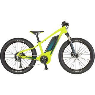 Scott Roxter eRide 24 2019 - E-Bike