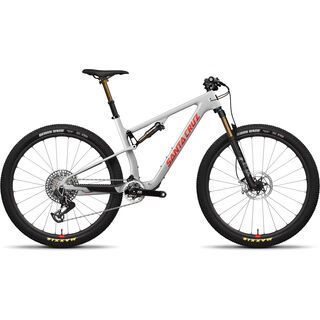 Santa Cruz Blur CC / XX SL AXS TR / RSV / 29 matte silver