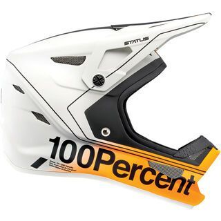 100% Status DH/BMX Youth carby silver