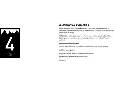 Cube Stereo 240 One, actionteam - Bild 8