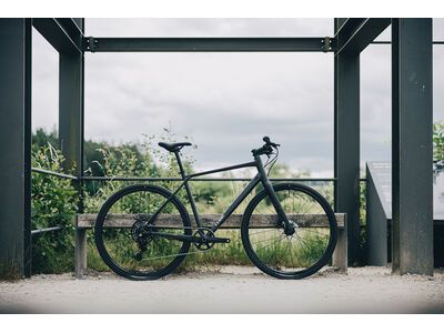 Cube Nulane Pro, grey´n´chrome - Bild 11