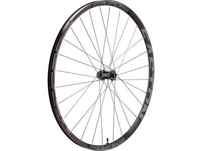 Easton EA70 AX Disc Wheel - 700C / QR/12x100 mm brushed black anodize/vinyl decals