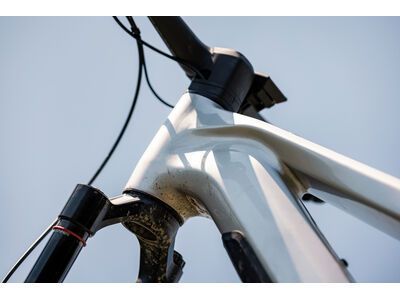 Focus Jam² 6.8 - 800, nepalsilver / steelgrey - Bild 23