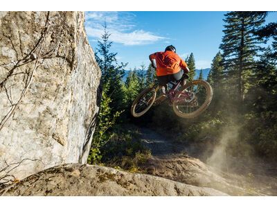 Santa Cruz Heckler SL C / R / MX, gloss magenta - Bild 13