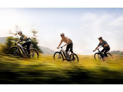 Focus Jam² 6.8 - 800, nepalsilver / steelgrey - Bild 14