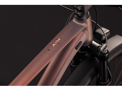 Cube Aim SLX FE 29, rustyrose´n´peach - Bild 2