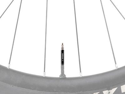 Topeak Valve Extender - 28 mm (2er Set) - Bild 2