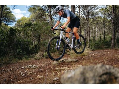 Schwalbe G-One RX Pro Addix Race / Race Pro V-Guard - 700C, transp. sidewall - Bild 23