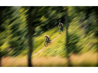 Focus Jam² 6.7 - 600, white / adamantsilver - Bild 27