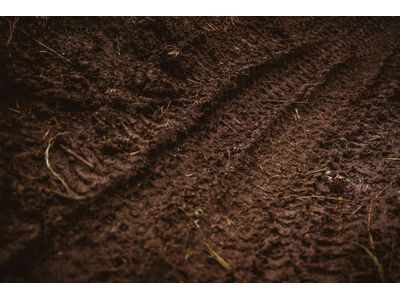 Schwalbe Shredda Rear Radial Addix Ultra Soft Gravity Pro - 29 Zoll - Bild 12