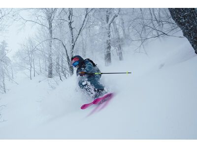 Black Crows Duos Freebird, black/yellow - Bild 12