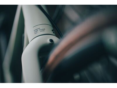 Cube Nuroad Pro 700C, pea´n´grey - Bild 8