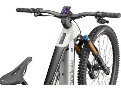 Cannondale Moterra 1, tiger shark - Bild 3