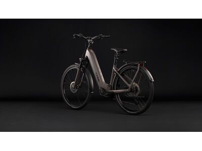 Cube Kathmandu Hybrid One 800 Easy Entry, cedar´n´chrome - Bild 10