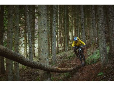 Schwalbe Shredda Front Radial Addix Ultra Soft Gravity Pro - 29 Zoll - Bild 18