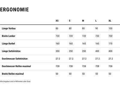 Cube Nulane Hybrid C:62 Race 400X, sleekgrey´n´prism - Bild 13