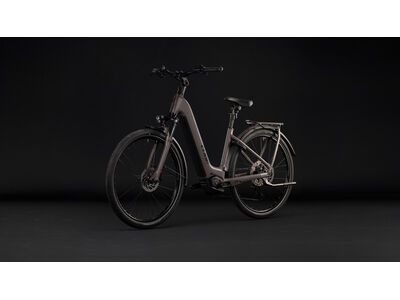 Cube Kathmandu Hybrid One 800 Easy Entry, cedar´n´chrome - Bild 9