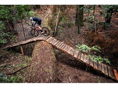 Santa Cruz Stigmata CC / Apex, british racing green - Bild 9