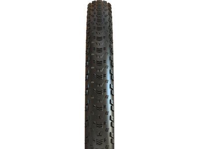 Maxxis Aspen MaxxSpeed EXO TR - 29 Zoll - Bild 2
