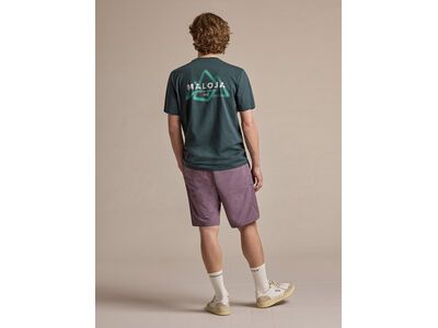 Maloja NalboM., mountain pine - Bild 4