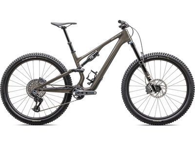 Specialized Stumpjumper 15 Expert - 29/29 gunmetal/white mountains