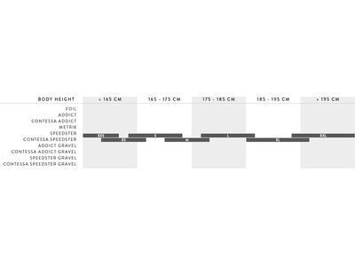Scott Foil RC Pro HMX, Q35.5 Replica silver/black - Bild 2