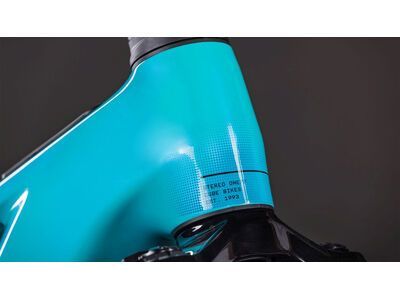 Cube Stereo Hybrid One77 HPC Race 800, swimmingpool´n´black - Bild 7