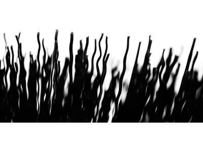 Muc-Off Tyre & Cassette Brush - Bild 4