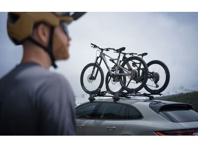 ***2. Wahl*** Amflow PL Carbon - 800 Wh satin silver - Bild 25