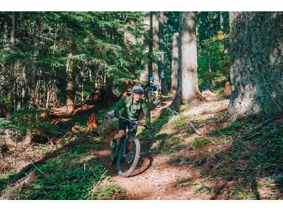 GOREWEAR Endure Gore-Tex Jacke Damen, neon yellow - Bild 10