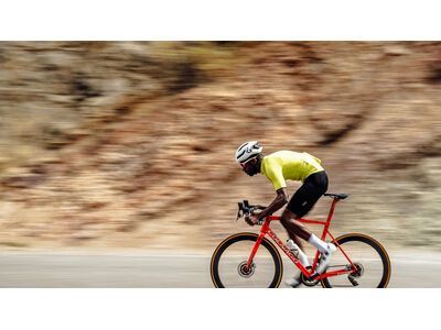 Le Col Hors Categorie Lightweight Bib Shorts, black/white - Bild 13