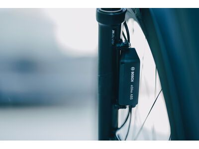 Cube Kathmandu Hybrid SLT 800, duskwood´n´goblin - Bild 10