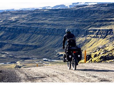 ORTLIEB Back-Roller Free Single QL3.1, black - Bild 15