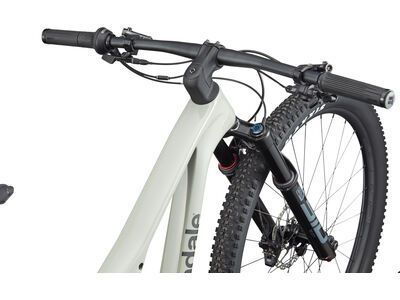Cannondale Scalpel 3, tigershark - Bild 3