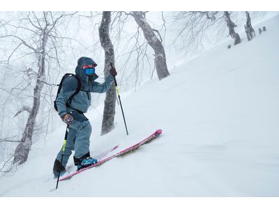 Black Crows Duos Freebird, black/yellow - Bild 11