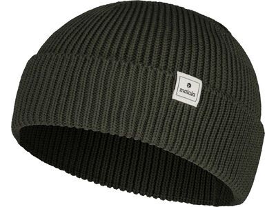 Maloja BertiagaM., alpine woods