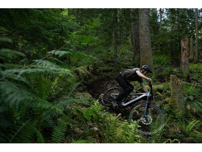 Santa Cruz Vala AL / 70 / MX, gloss lunar grey - Bild 16