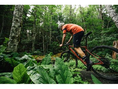 Santa Cruz Stigmata CC / Apex, british racing green - Bild 14