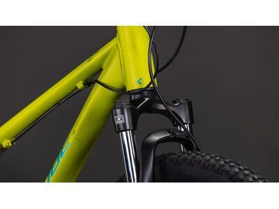 Cube Acid 240 Disc, lizard´n´blue - Bild 6