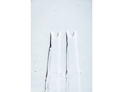 Line Sakana - Bild 20