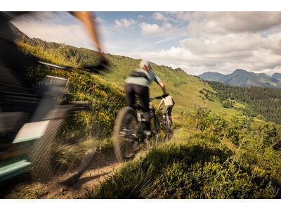 Focus Jam² 6.7 - 800, slategrey / magicblack - Bild 21