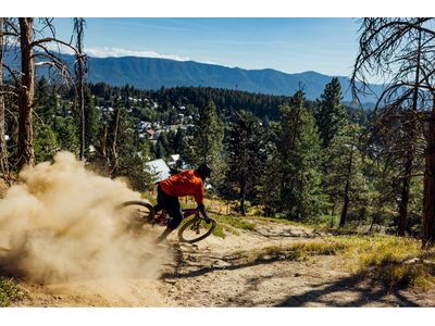 Santa Cruz Heckler SL C / GX AXS / MX, matte silver - Bild 14