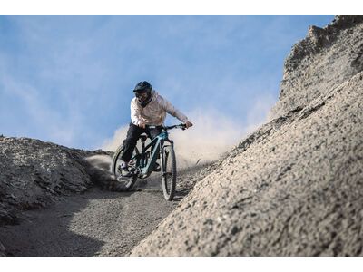 Santa Cruz Bullit C / 90 / MX, matte teal sparkle - Bild 8