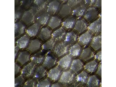 POC The Supreme Rain Jacket, sylvanite grey - Bild 3