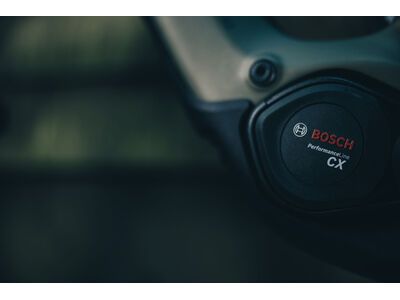 Cube AMS Hybrid 177 C:62 TM 600X, reedgreen´n´matrix - Bild 12