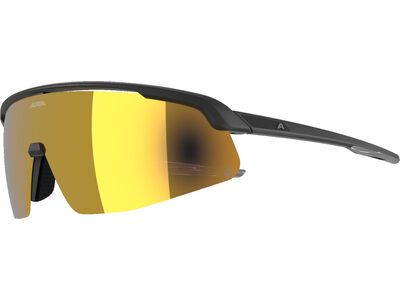 Alpina Turbo Pro Q, Gold Mirror / black matt - Bild 4